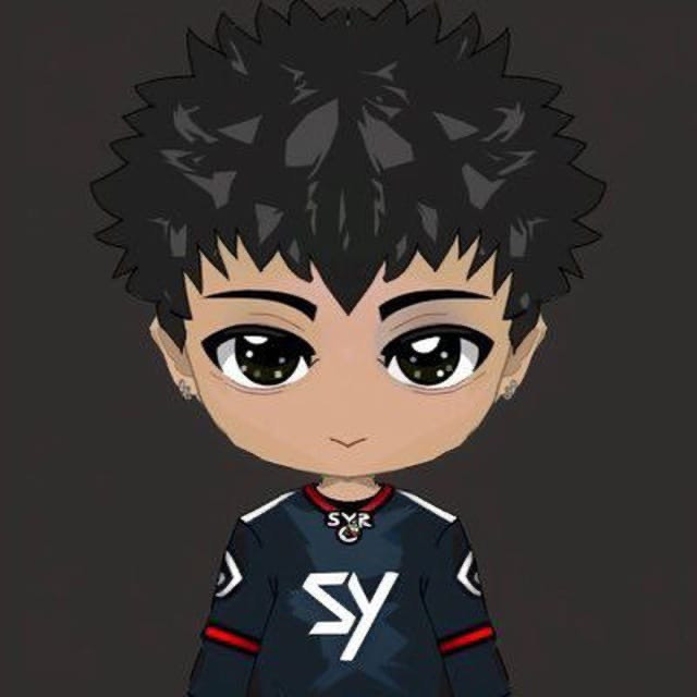 S Y DEGEN